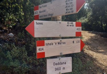 Trail Walking Ulìana/Oliena - Monte Corrasi 1463m 4.10.23 - Photo