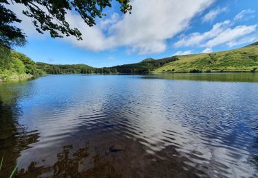 Excursión Senderismo Orcival - RA2020 MC Tour du lac de Guéry - Photo