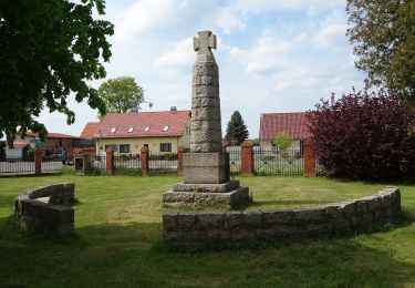 Tocht Te voet Templin - Templin-Hammelspring - Photo