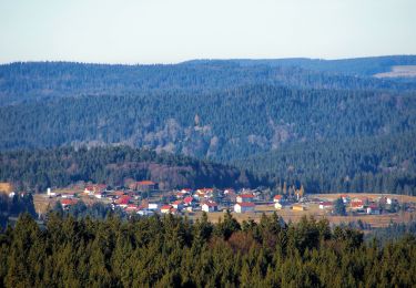 Percorso A piedi Graineter Wald - Rundwanderweg 5 (Haidel) - Photo