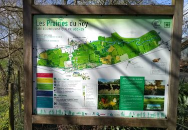 Trail Walking Loches - Loches inondations - Photo