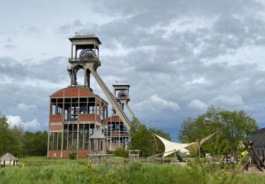 Tour Wandern Maasmechelen - Terhills deels paarse route 14km - Photo