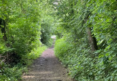 Tocht Stappen Aat - Assoumont-Houssière-Assoumont - Photo