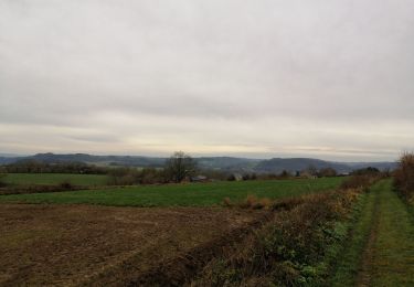 Randonnée Marche Sprimont - Dolembreux - Lincé - La Haze - Hautgné - Photo