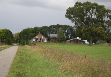 Percorso A piedi Kampen - WNW IJsseldelta -Kampereiland - groene route - Photo