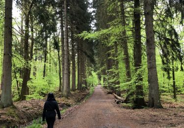 Tocht Stappen Nassogne - Grune - Photo