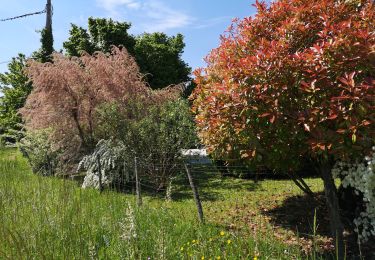 Tocht Stappen Sevrier - Annecy  - Photo