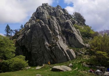 Excursión Senderismo Dourbies - dourbies St guiral - Photo