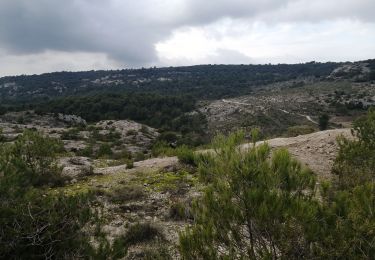 Tocht Stappen Gordes - gordes senanque - Photo