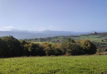 Trail Walking Capvern - La Voie Romaine de Capvern - Photo