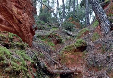 Tocht Mountainbike Mormoiron - Acte 1 Découverte Ocres et sentiers Philou - Photo