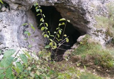 Tocht Stappen Nivigne et Suran - Chavannes Grotte de la cabatane  - Photo