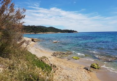 Randonnée Marche La Croix-Valmer - GIGARO - CAP LARDIER A/R - Photo