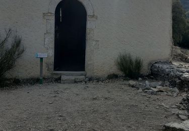 Tocht Stappen Gréoux-les-Bains - Notre Dame des Oeufs -Les Mauras - Photo