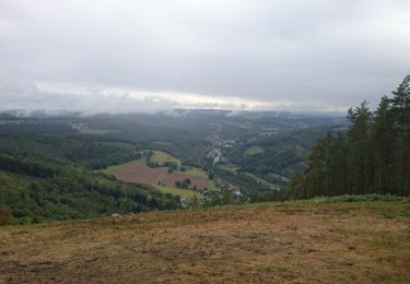 Tocht Stappen Stavelot - boucle Ster  - Photo