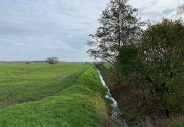 Tocht Te voet Ludwigsfelde - Rangsdorfer See - Photo