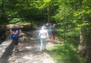 Trail Walking Cauterets - cauterets cascades G3 2024 - Photo