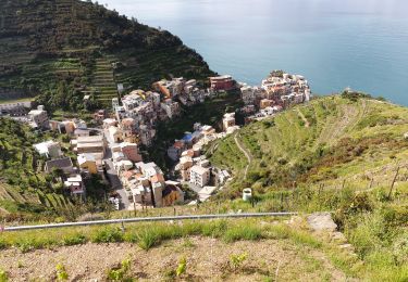 Trail Walking Riomaggiore - manarola_coniglia - Photo