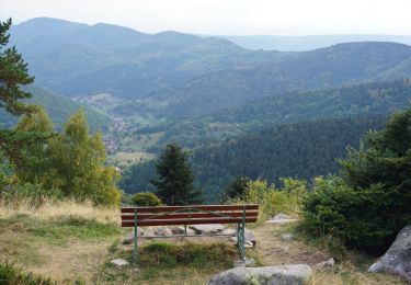 Percorso Marcia Luttenbach-près-Munster - Petit Ballon/Wasserbourg - Photo