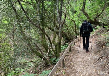 Tocht Stappen Lacanau - Zot/fifi etang de coureau - Photo