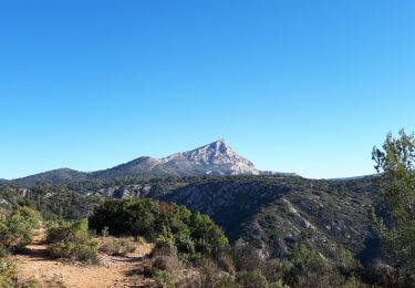 Tour Wandern Le Tholonet - 20211214tholonet - Photo