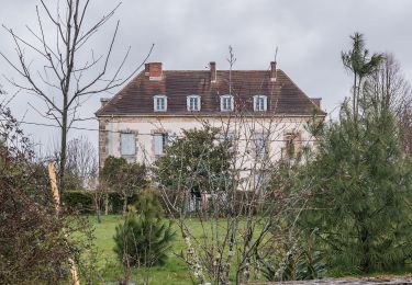 Tocht Te voet Rancon - Boucle Intercommunale du Haut Limousin - Photo