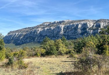 Tour sport Plan-d'Aups-Sainte-Baume - Rando Chantal  - Photo