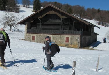 Randonnée Raquettes à neige Soultz-Haut-Rhin - Fa Grand ballon USM - Photo