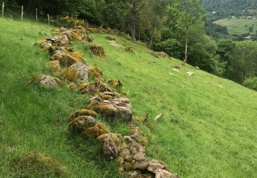 Tocht Stappen Cornimont - Autour de la ferme - Photo