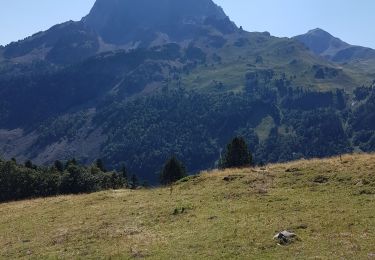 Tour Wandern Laruns - Bious-Artigues / Ayous - Photo