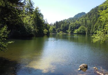 Excursión A pie Stadt Kufstein - Pfrillsee-Runde - Photo