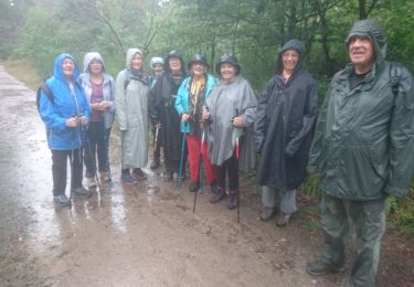 Randonnée Marche Fontainebleau - la Solle 26 juillet 2023  - Photo