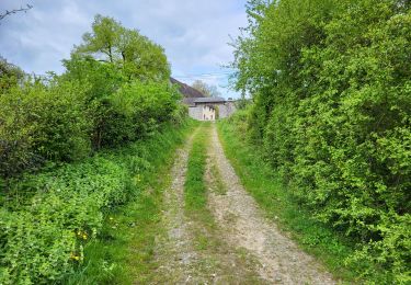 Trail Walking Andenne - Maizeret 120424  - Photo