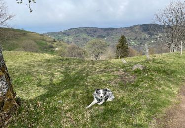 Tocht Stappen Cornimont - Col du Brabant - Roche du Lac via Collet-Masuy - Photo