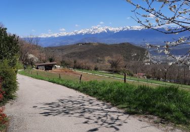 Tocht Stappen Claix - Plateau du Peuil - Le Gampas - Photo