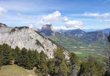 Tour Wandern Châtillon-en-Diois - Tête Chevalière  - Photo