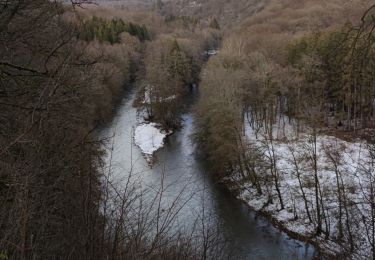 Tour Wandern Florenville - Randonnée à Florenville  - Photo