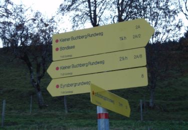 Percorso A piedi Goldegg - Kleiner Buchbergrundweg - Photo