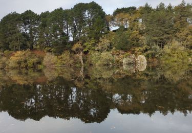 Randonnée Marche Muzillac - tour de l'étang de penmur - Photo