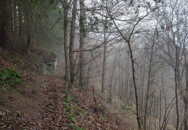 Randonnée Marche Stoumont - SityTrail - Stoumont 11 km - Photo