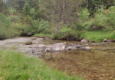 Tocht Stappen Cauterets - Cascades lac de Gaube  - Photo