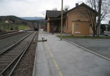 Randonnée A pied Rohrbach an der Lafnitz - Wanderweg 7 - Photo