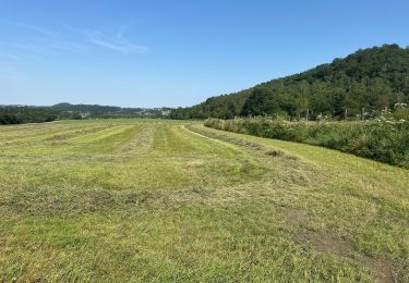 Tour Wandern Châtelet - GR 1666 partie 2 - Châtelet Roux 35 km - Photo