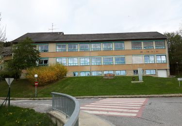 Randonnée A pied Gratwein-Straßengel - Prälatenweg 31 - Photo