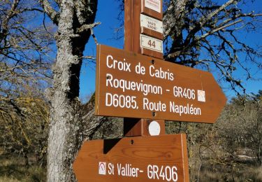 Trail Walking Peille - St vallier - Photo