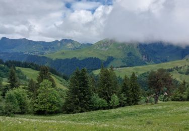 Tour Wandern Les Gets - morzine col du mont chery - Photo