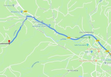 Tour Wandern Masevaux-Niederbruck - 10076782-Niederbruck - Photo