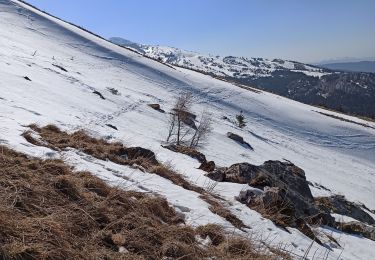 Trail Snowshoes Villard-de-Lans - randonnée du pas de l'œil - Villard de Lans - Photo