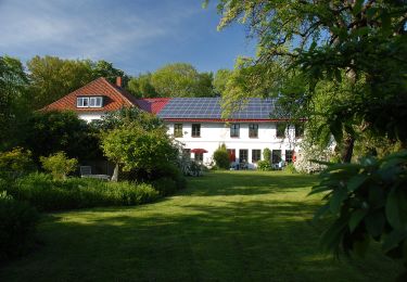 Excursión A pie Kellenhusen - Wald- und Wellen-Route, Kellenhusen - Photo