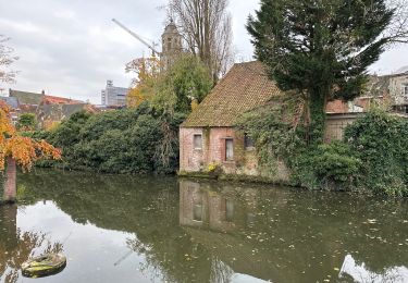 Tocht Stappen Nijlen - Nijlen Liers Lierre 23 km - Photo